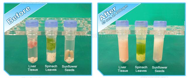 Zoneray Beadbug Microtube Homogenizer for Lab